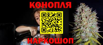 крисы Бузулук