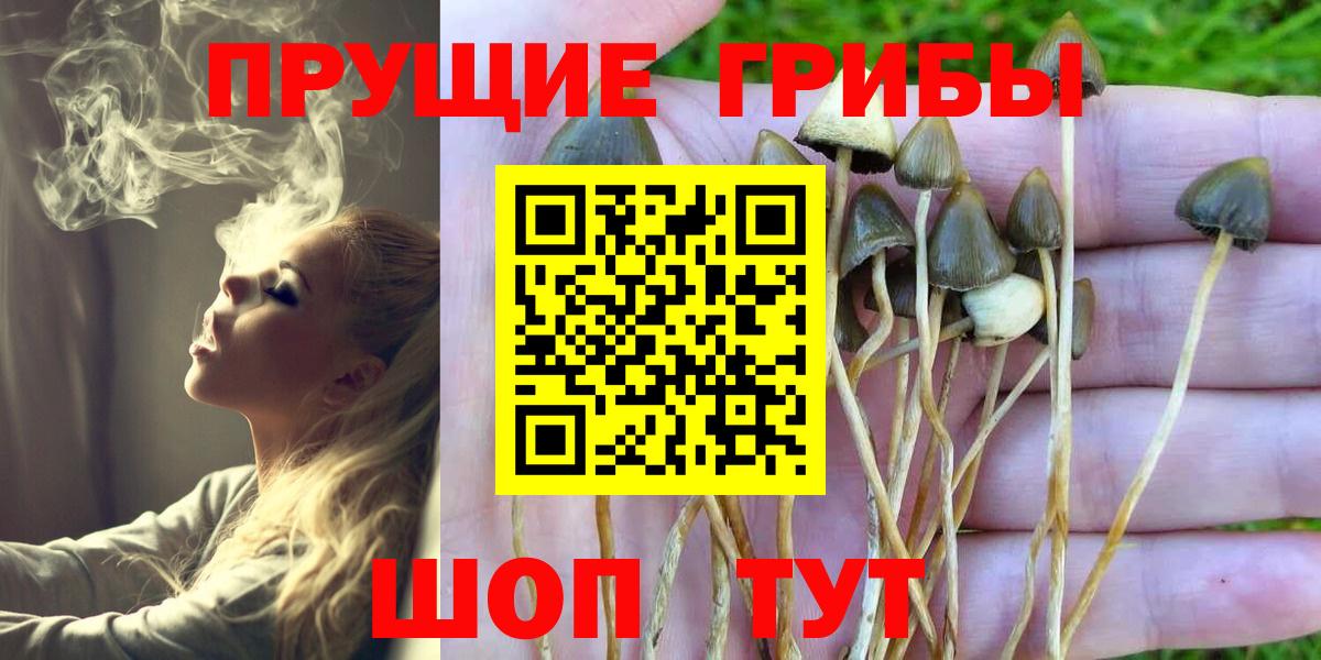 Псилоцибиновые грибы Magic Shrooms  Вход с VPN  Крымск  Псилоцибиновые грибы Magic Shrooms 