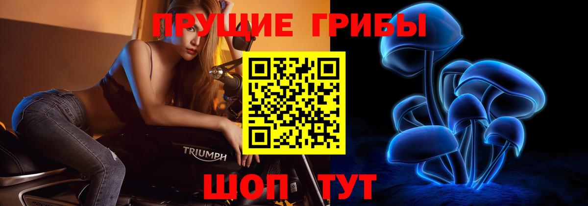Псилоцибиновые грибы прущие грибы Крымск