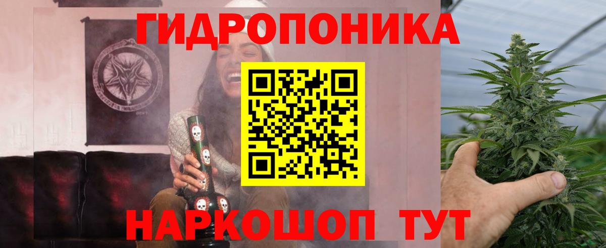 Конопля план Крымск